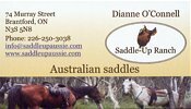 Saddle-Up Ranch